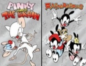 Pinky_and_Brain_Animaniacs_DVDs (16k image)