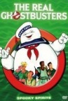 Real_Ghostbusters_DVD_Spooky_Spirits (10k image)